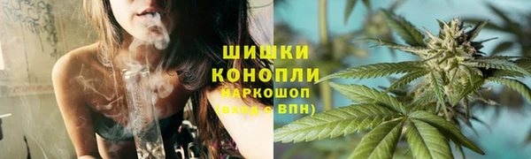 дмт Богородск