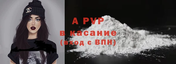 дмт Богородск